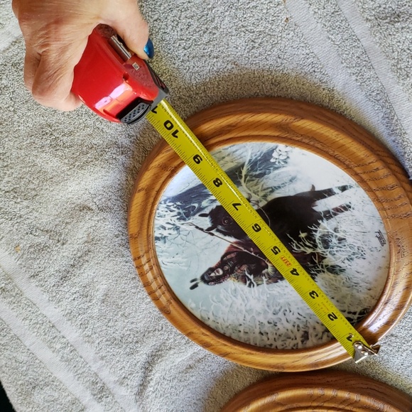 Indian  The Prideful Ones  Plate Collection '2 Plate' - Picture 9 of 9